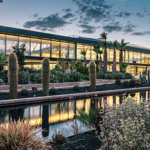 Madrid's Massive New Cactus Garden Is a Succulent-Lover's Dream