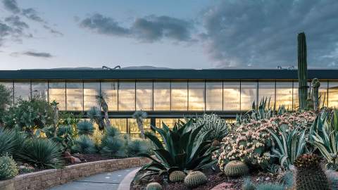 Madrid's Massive New Cactus Garden Is a Succulent-Lover's Dream