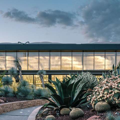 Madrid's Massive New Cactus Garden Is a Succulent-Lover's Dream