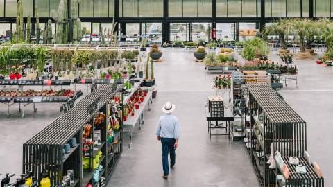 Madrid's Massive New Cactus Garden Is a Succulent-Lover's Dream