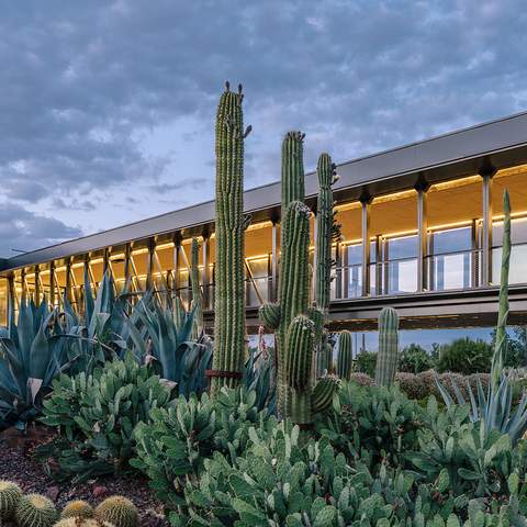 Madrid's Massive New Cactus Garden Is a Succulent-Lover's Dream