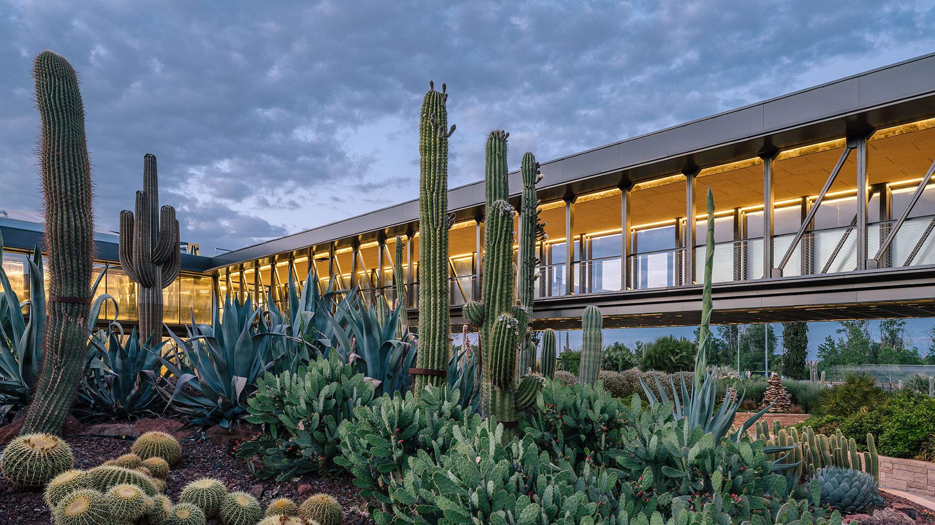 Madrid's Massive New Cactus Garden Is a Succulent-Lover's Dream