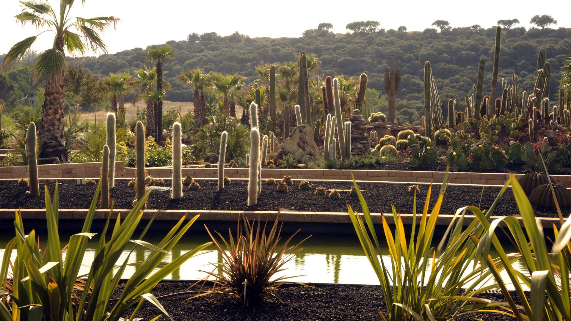 Madrid's Massive New Cactus Garden Is a Succulent-Lover's Dream