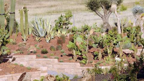 Madrid's Massive New Cactus Garden Is a Succulent-Lover's Dream