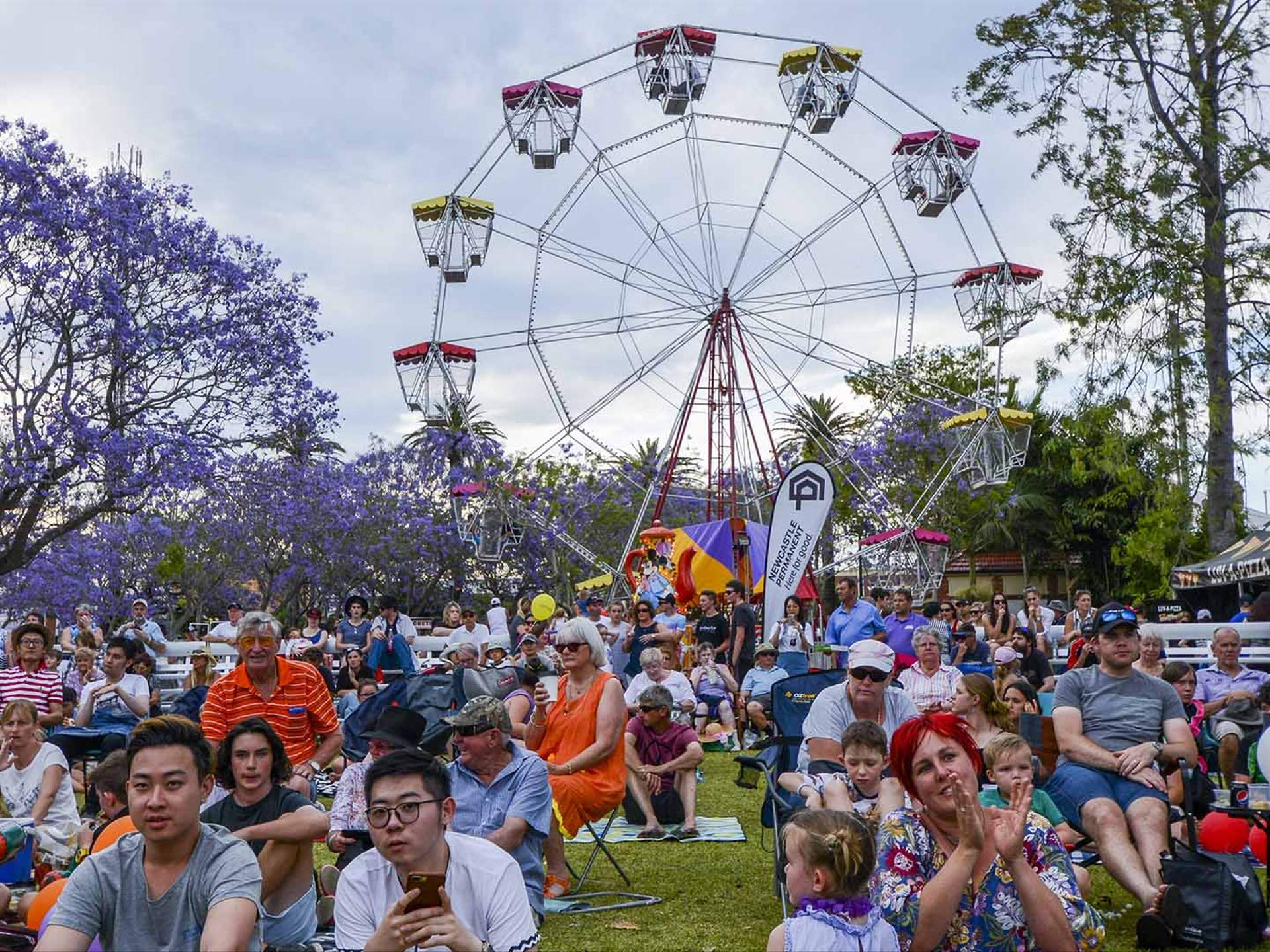 Grafton Jacaranda Festival 2019, Sydney