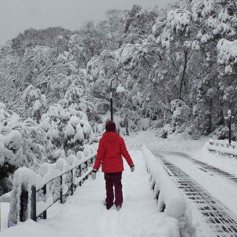 A Weekender's Guide to the Snowy Mountains During Snowtunes