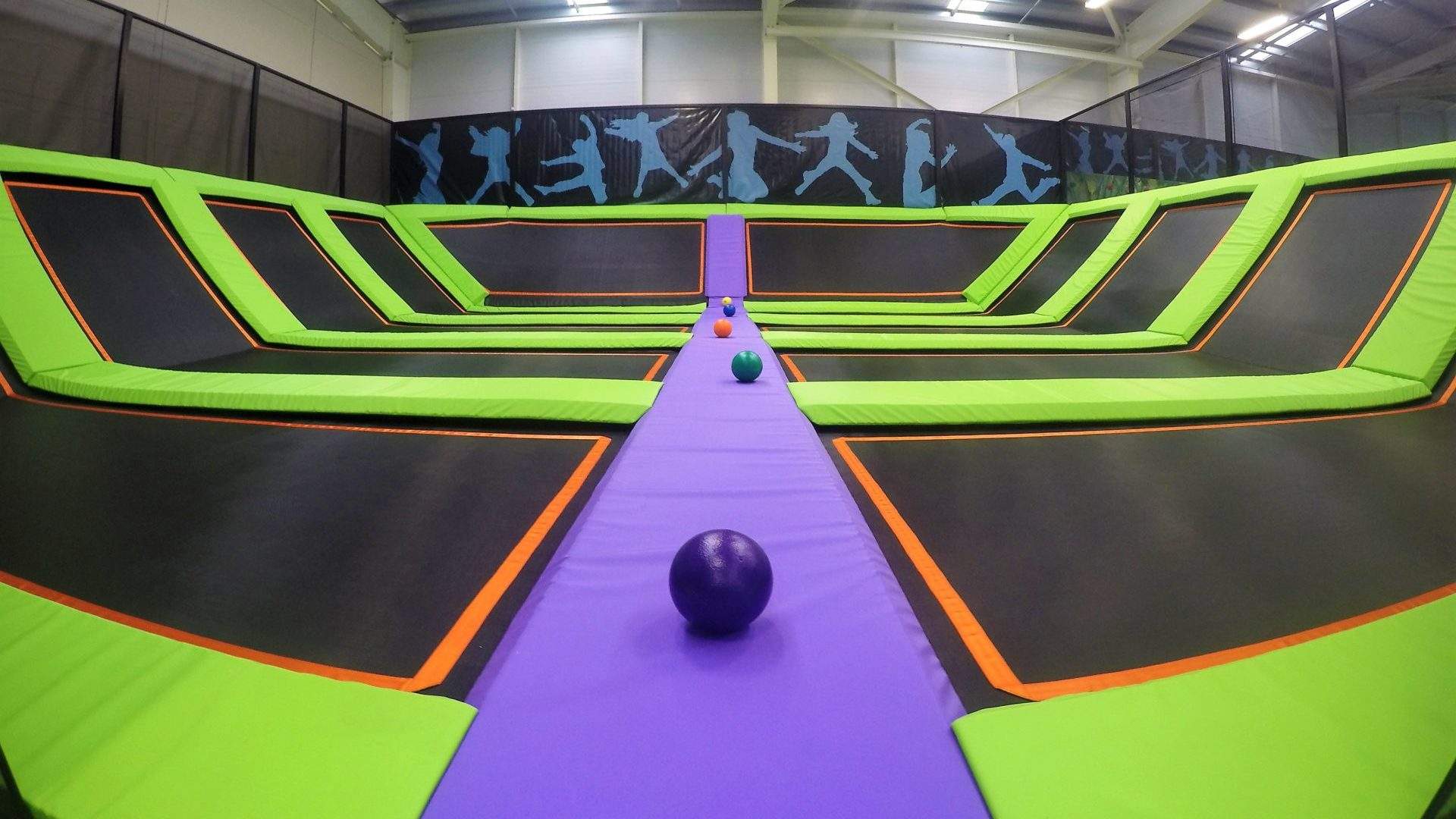 The Five Best Kidult Activities in Wellington