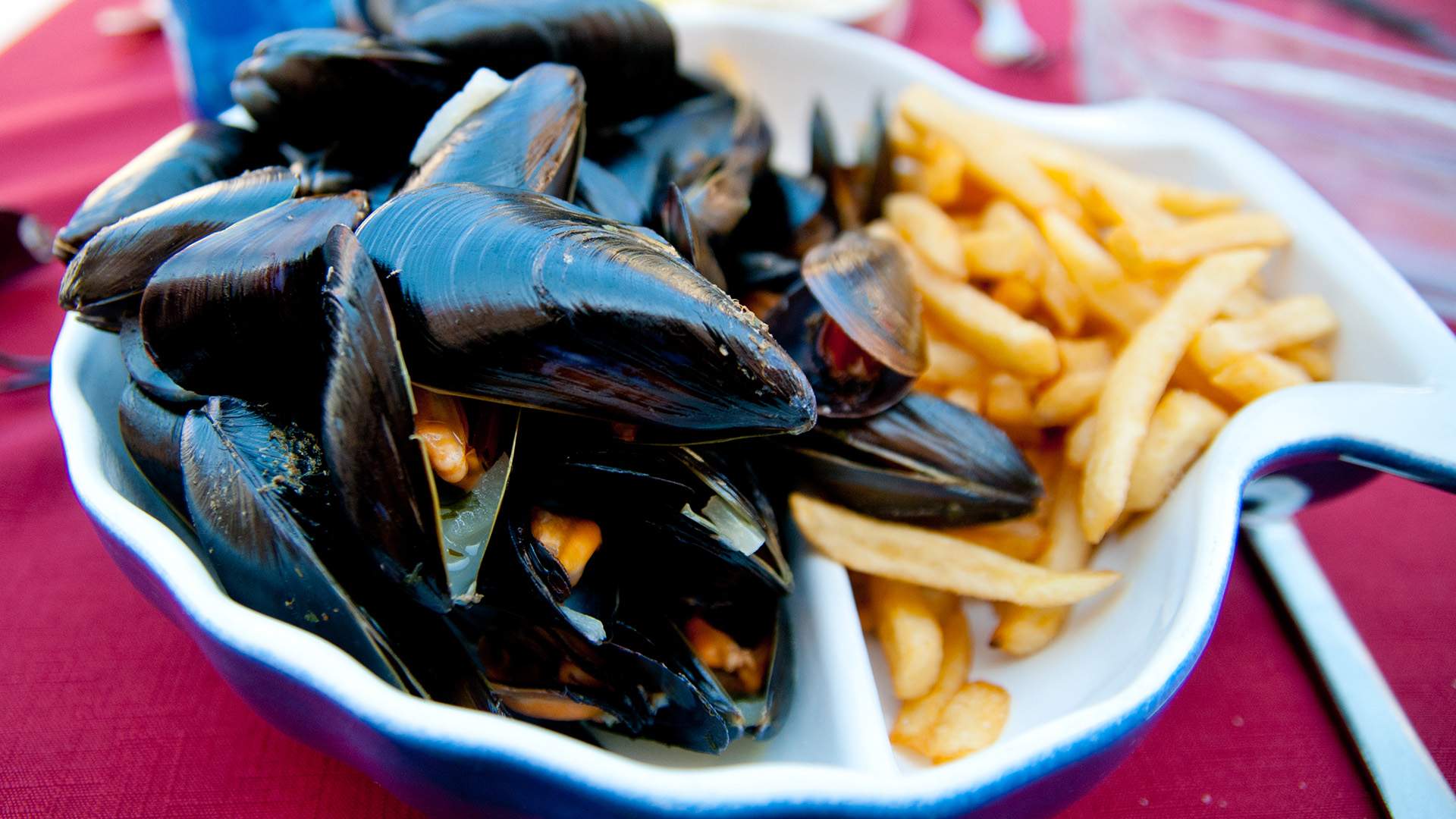 This Brisbane Bar Is Hosting a OneDay Beer, Mussels and Fries Festival