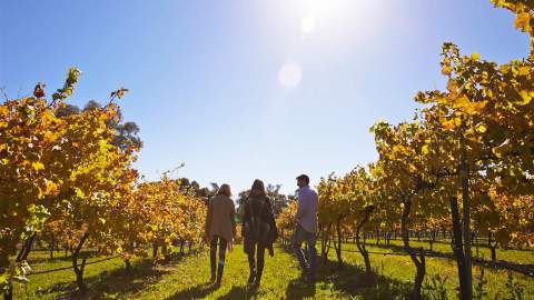 Canberra Wine House Murrumbateman Moving Feast