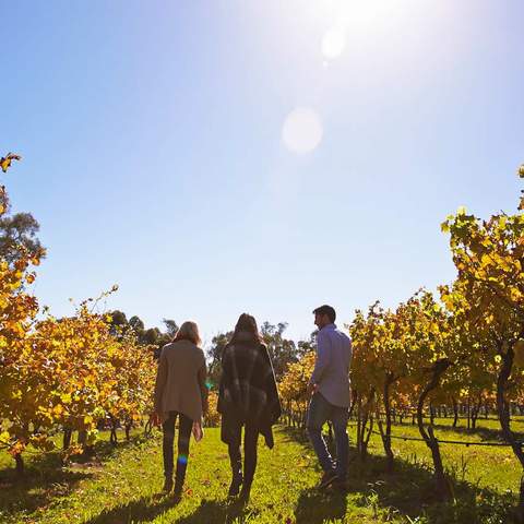 Canberra Wine House Murrumbateman Moving Feast