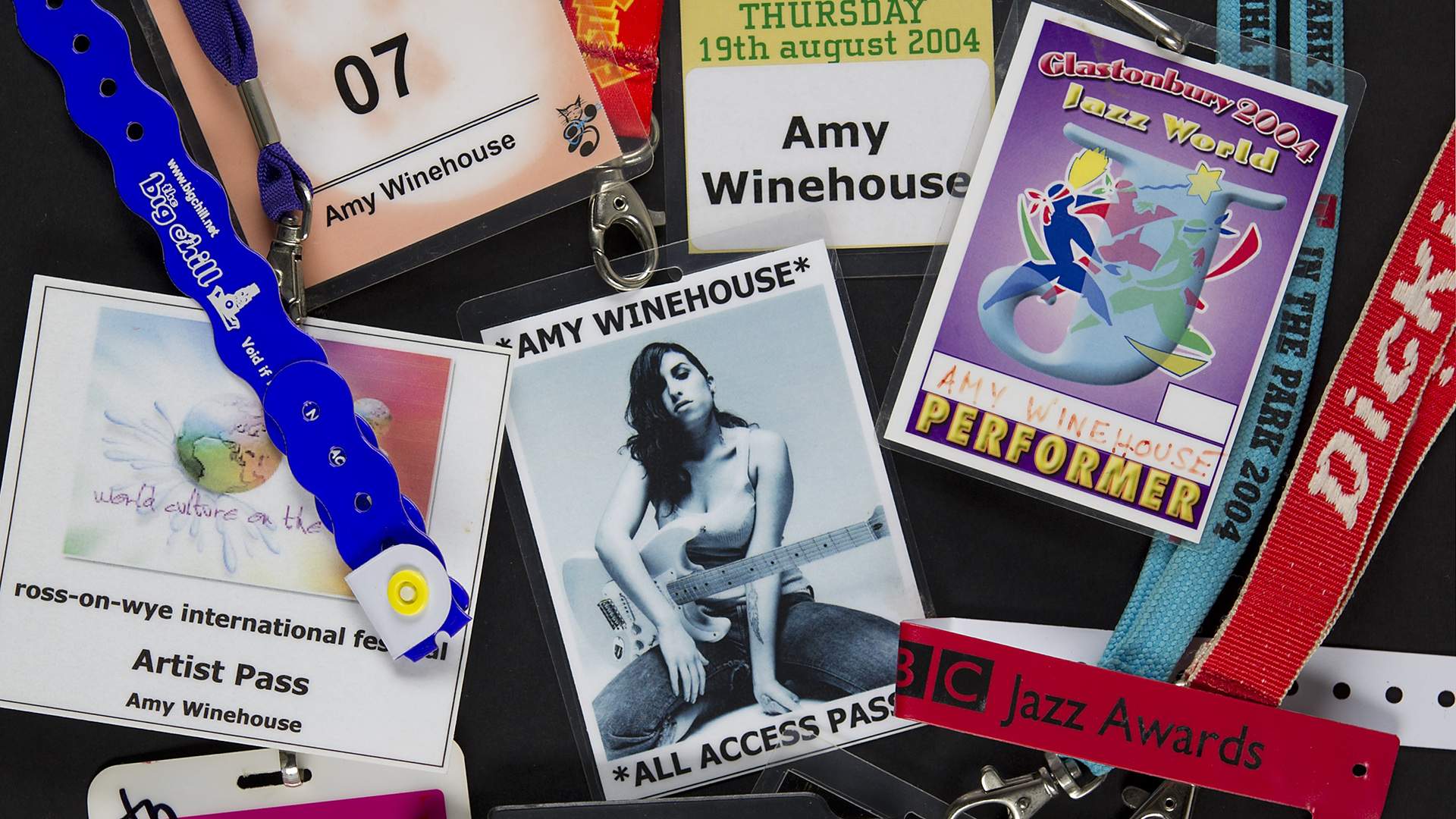 Amy Winehouse: A Family Portrait Music Program