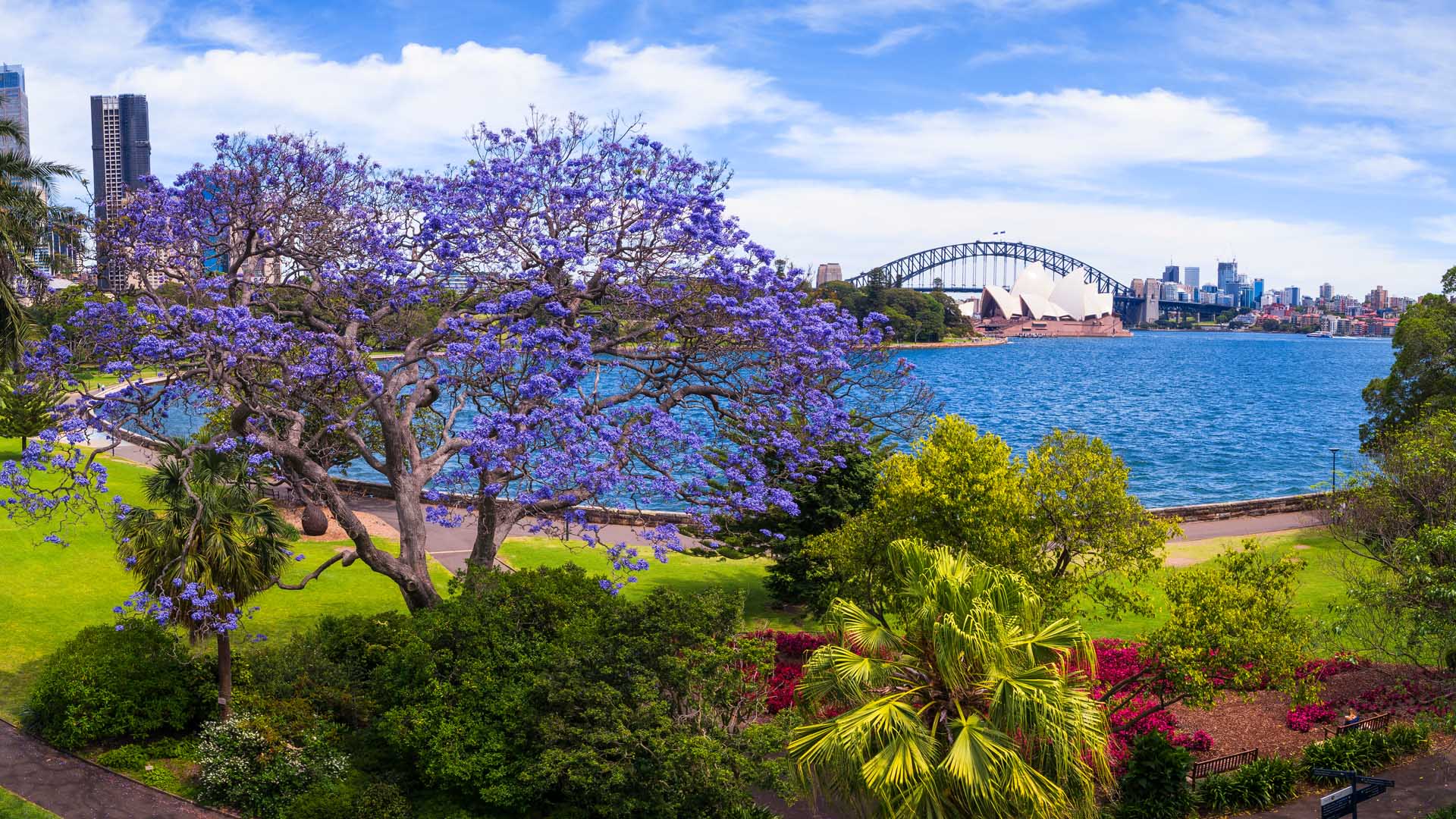 Royal Botanic Garden Concrete Playground