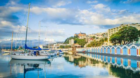 best walks in wellington