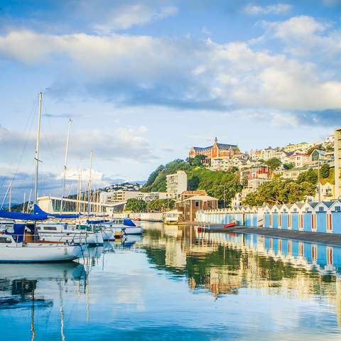 best walks in wellington