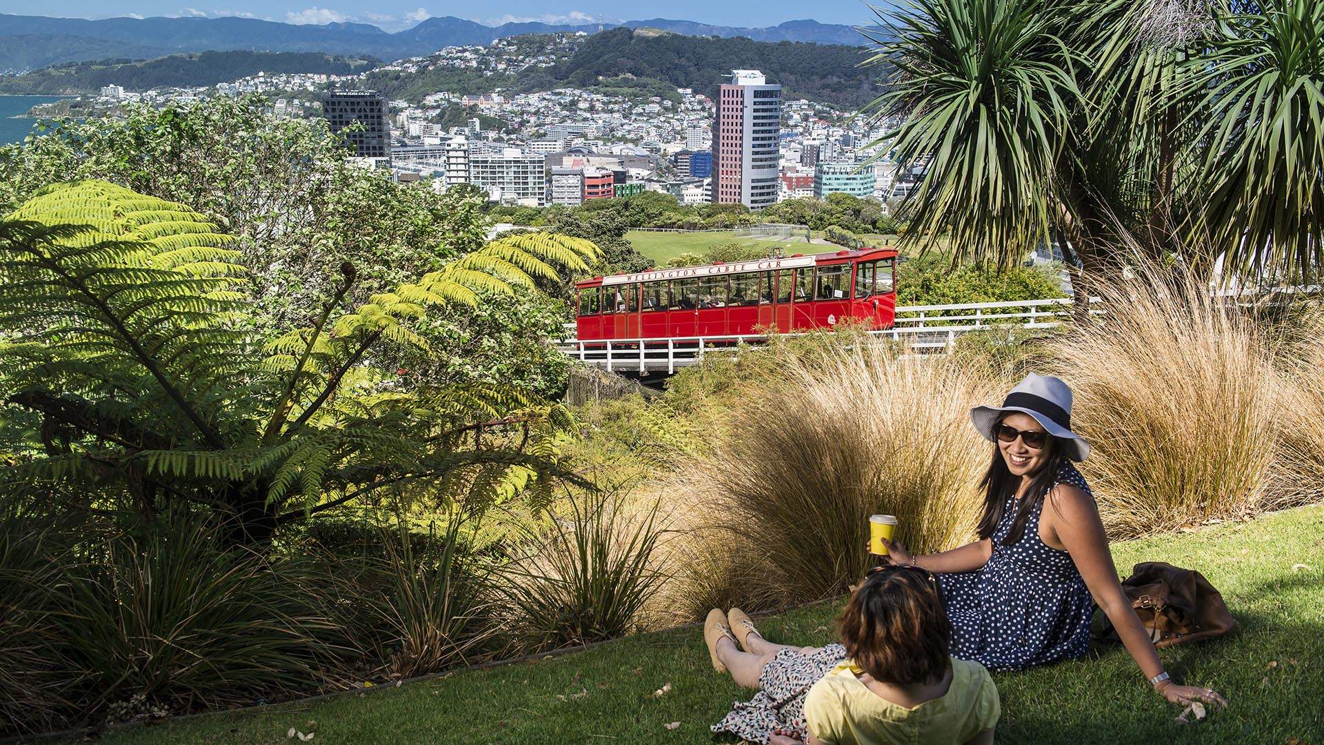 A Guide to Wellington's Spectacular Outdoors