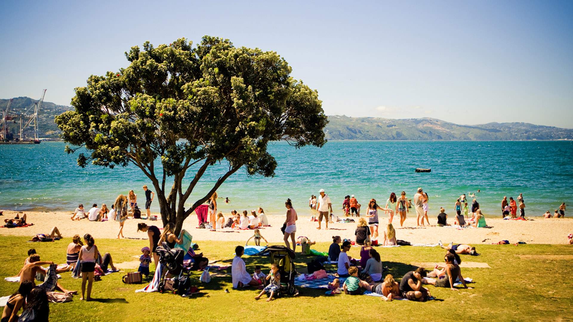 Great Big Waterfront Clean-Up