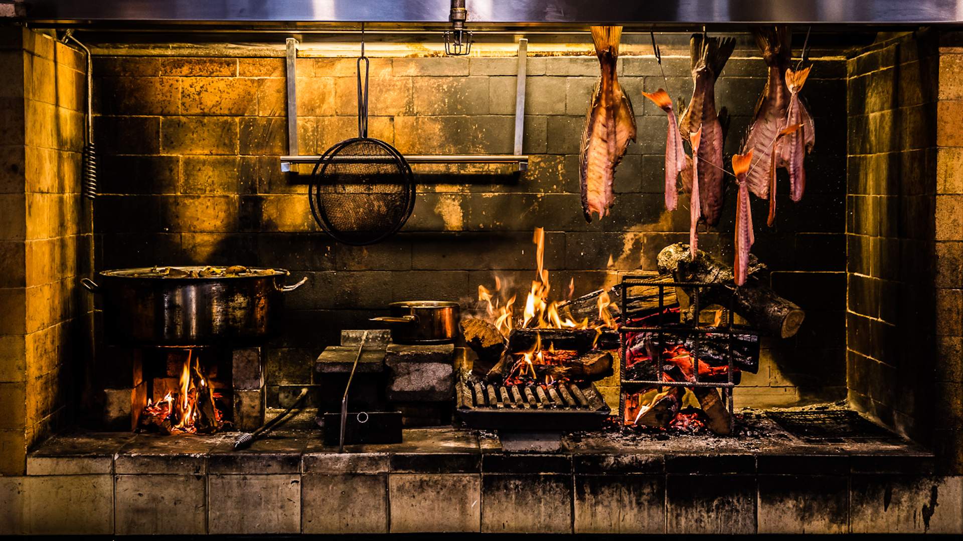 meat and fish cooking over the coals at Firedoor - home to some of the best steaks in Sydney