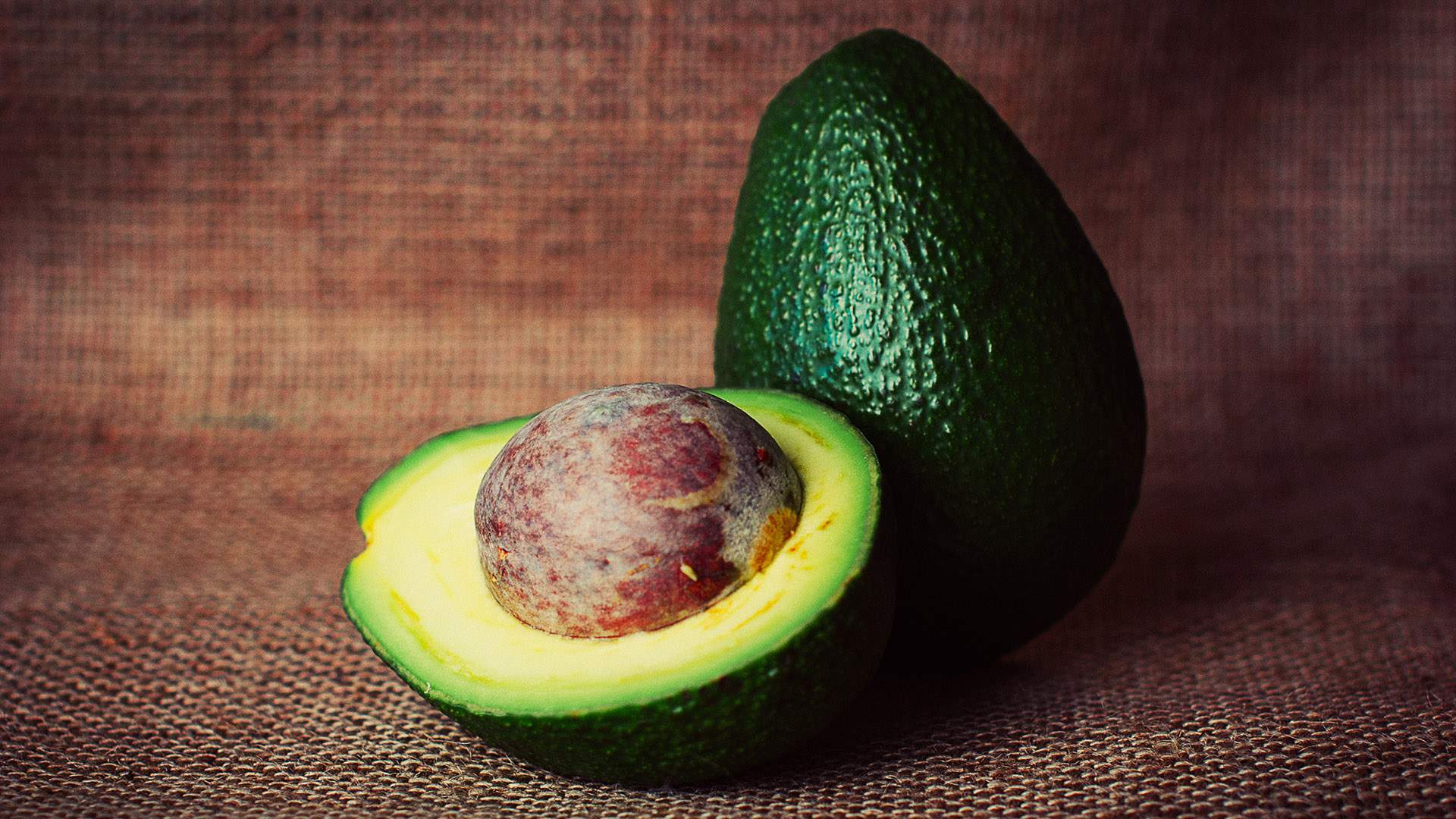 Amsterdam's Dedicated Avocado Eatery Might Be Expanding to Australia