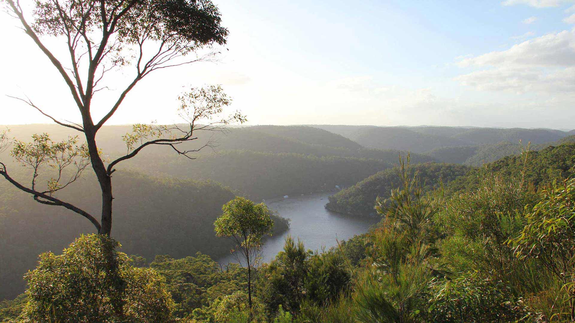 sydney best rivers swimming kayak boat