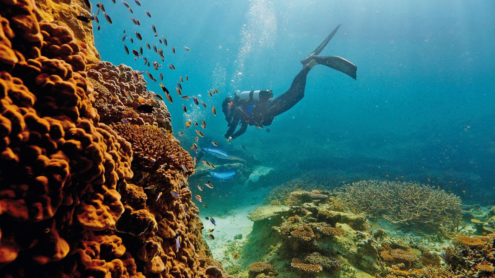 The Government Has Launched a People-Powered Plan to Help Save the Great Barrier Reef