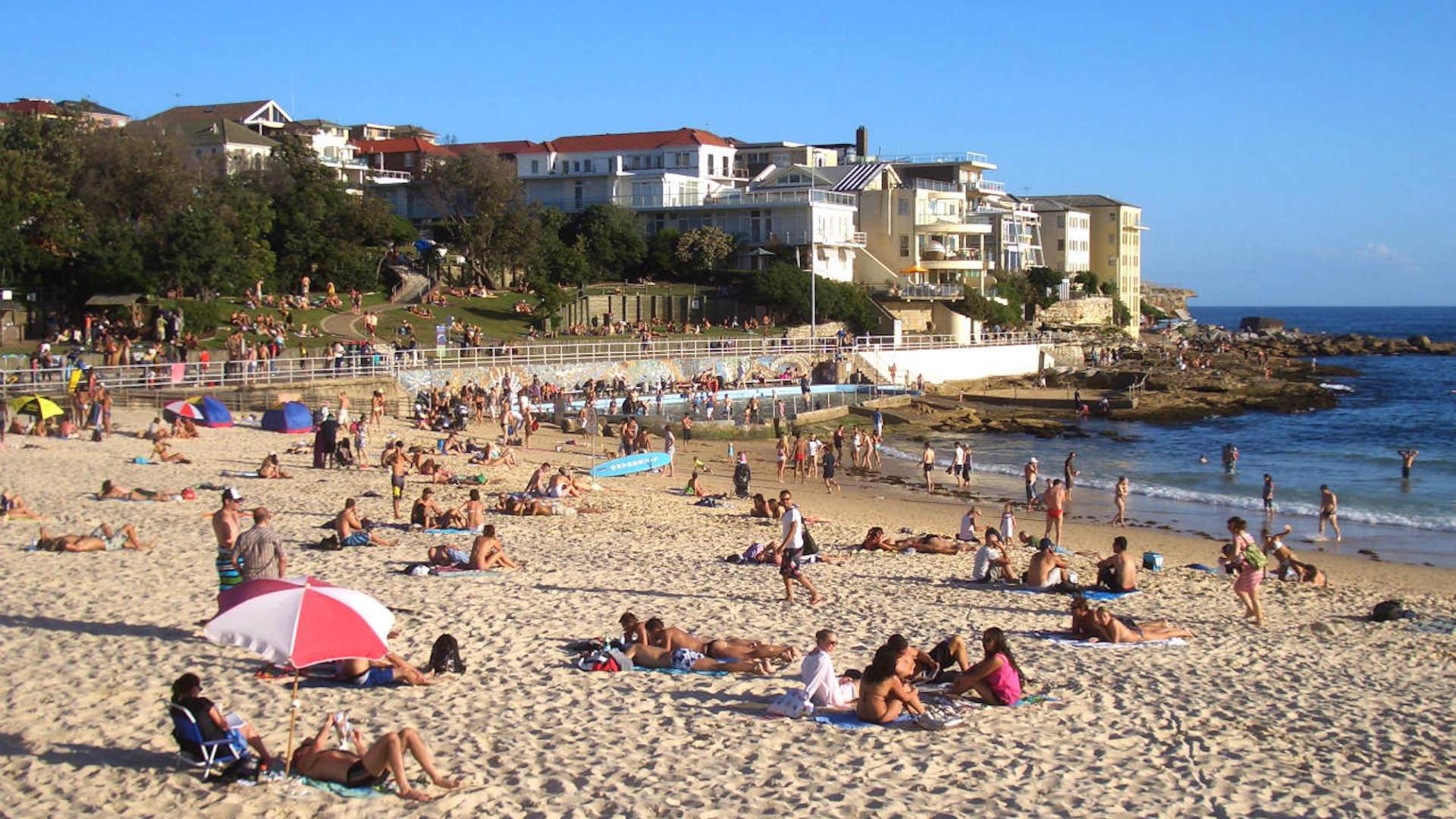 Fish and Chips Picnic at Bondi Beach