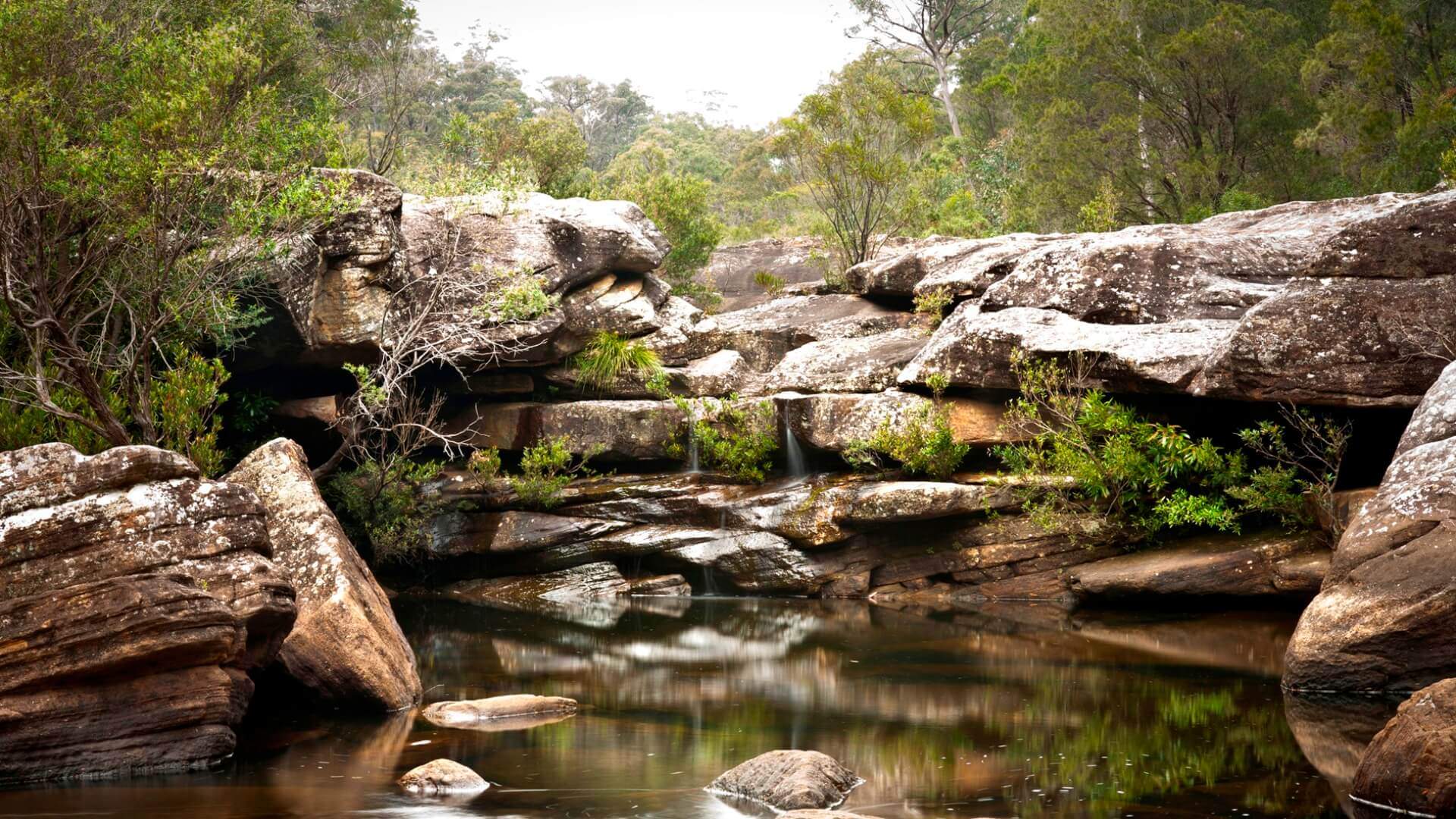 Von Sydney Airport Bis Nach Dharawal National Park concreteplayground.com