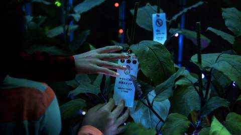 This Luminous Tokyo Greenhouse Lets You Turn Vegetables Into a Symphony of Light and Music