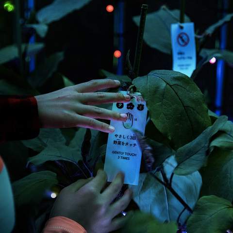 This Luminous Tokyo Greenhouse Lets You Turn Vegetables Into a Symphony of Light and Music