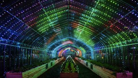 This Luminous Tokyo Greenhouse Lets You Turn Vegetables Into a Symphony of Light and Music