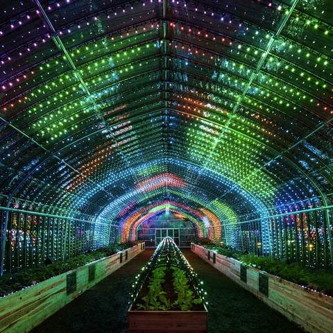 This Luminous Tokyo Greenhouse Lets You Turn Vegetables Into a Symphony of Light and Music