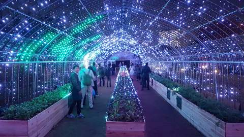 This Luminous Tokyo Greenhouse Lets You Turn Vegetables Into a Symphony of Light and Music