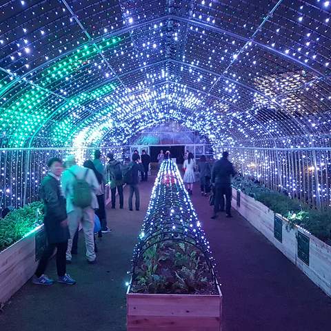 This Luminous Tokyo Greenhouse Lets You Turn Vegetables Into a Symphony of Light and Music