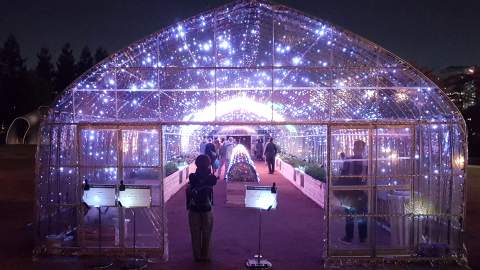 This Luminous Tokyo Greenhouse Lets You Turn Vegetables Into a Symphony of Light and Music