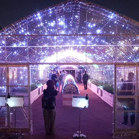 This Luminous Tokyo Greenhouse Lets You Turn Vegetables Into a Symphony of Light and Music