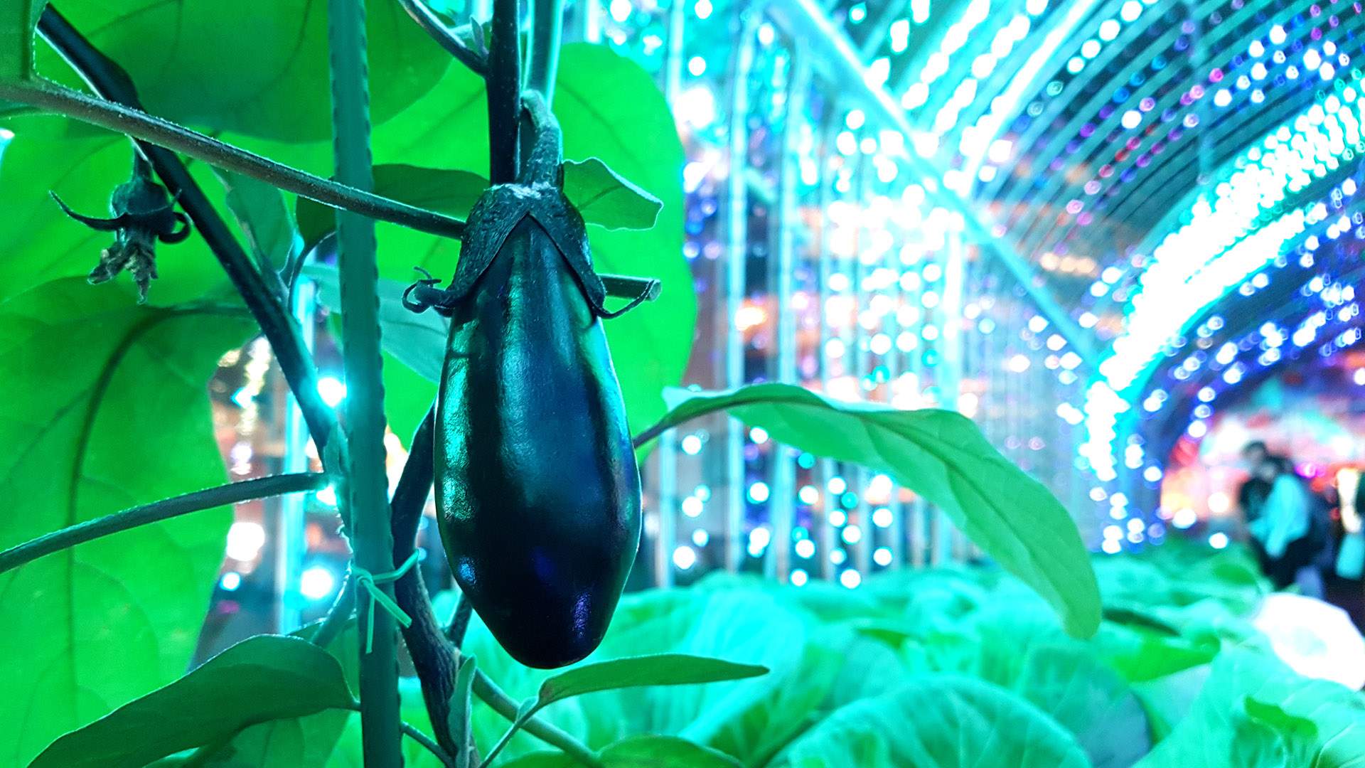 This Luminous Tokyo Greenhouse Lets You Turn Vegetables Into a Symphony of Light and Music
