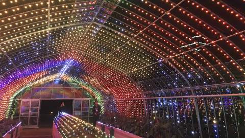 This Luminous Tokyo Greenhouse Lets You Turn Vegetables Into a Symphony of Light and Music