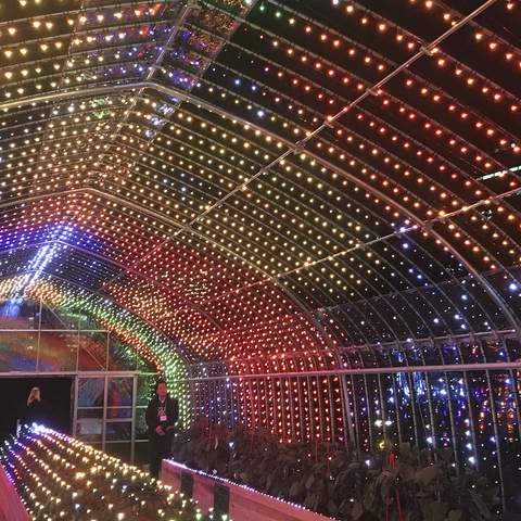 This Luminous Tokyo Greenhouse Lets You Turn Vegetables Into a Symphony of Light and Music