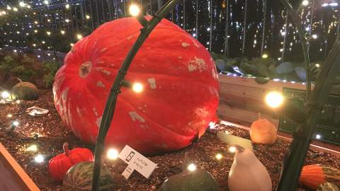 This Luminous Tokyo Greenhouse Lets You Turn Vegetables Into a Symphony of Light and Music