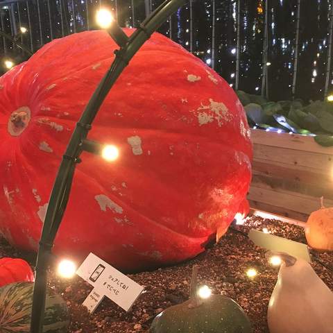 This Luminous Tokyo Greenhouse Lets You Turn Vegetables Into a Symphony of Light and Music