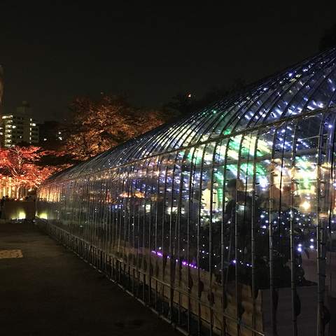 This Luminous Tokyo Greenhouse Lets You Turn Vegetables Into a Symphony of Light and Music