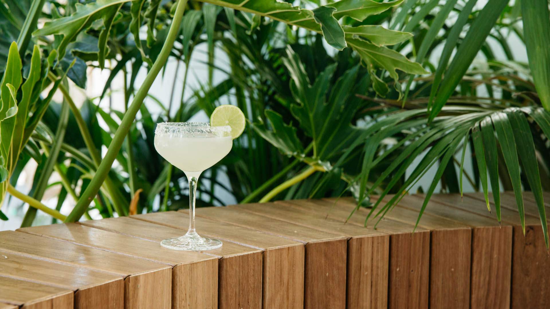 Melbourne's Fonda Mexican Has Just Launched Its First Sydney Venue