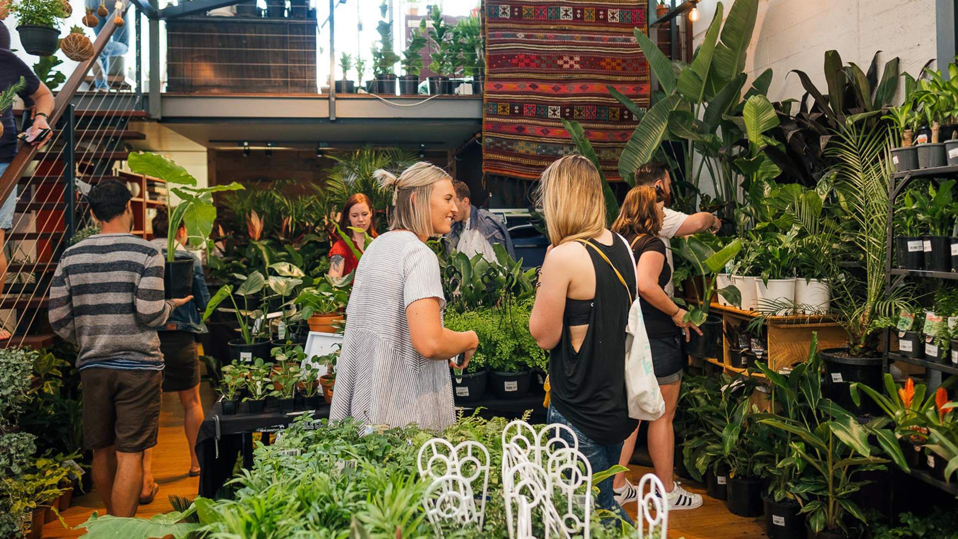 Jungle Collective 'Rumble in the Jungle' Indoor Plant Warehouse Sale