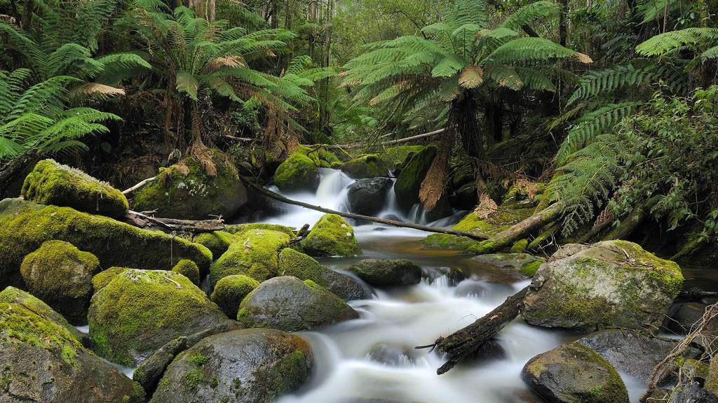 places to visit west gippsland
