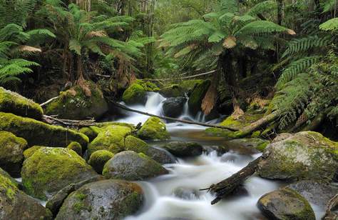 A Weekender's Guide to West Gippsland for Adventure Lovers