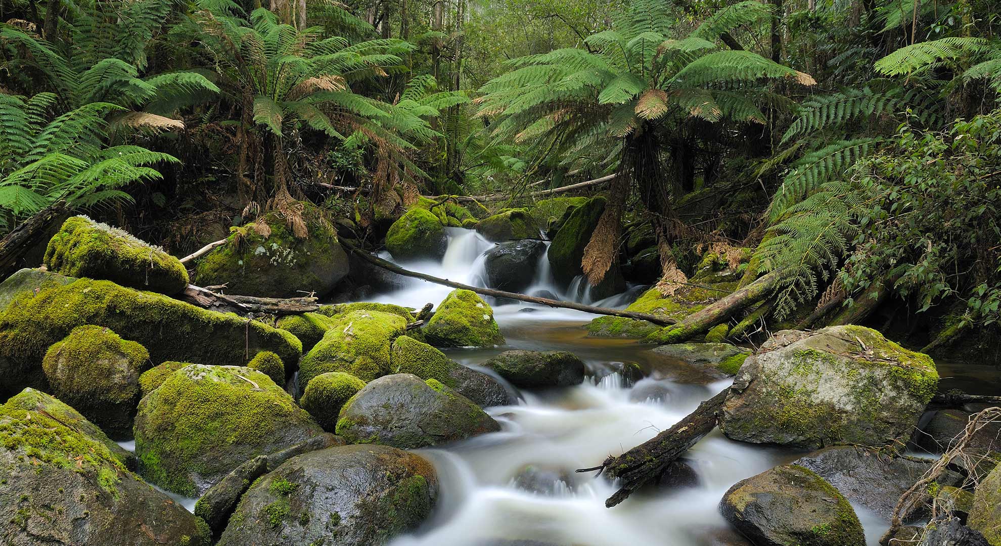 A Weekender's Guide to West Gippsland for Adventure Lovers