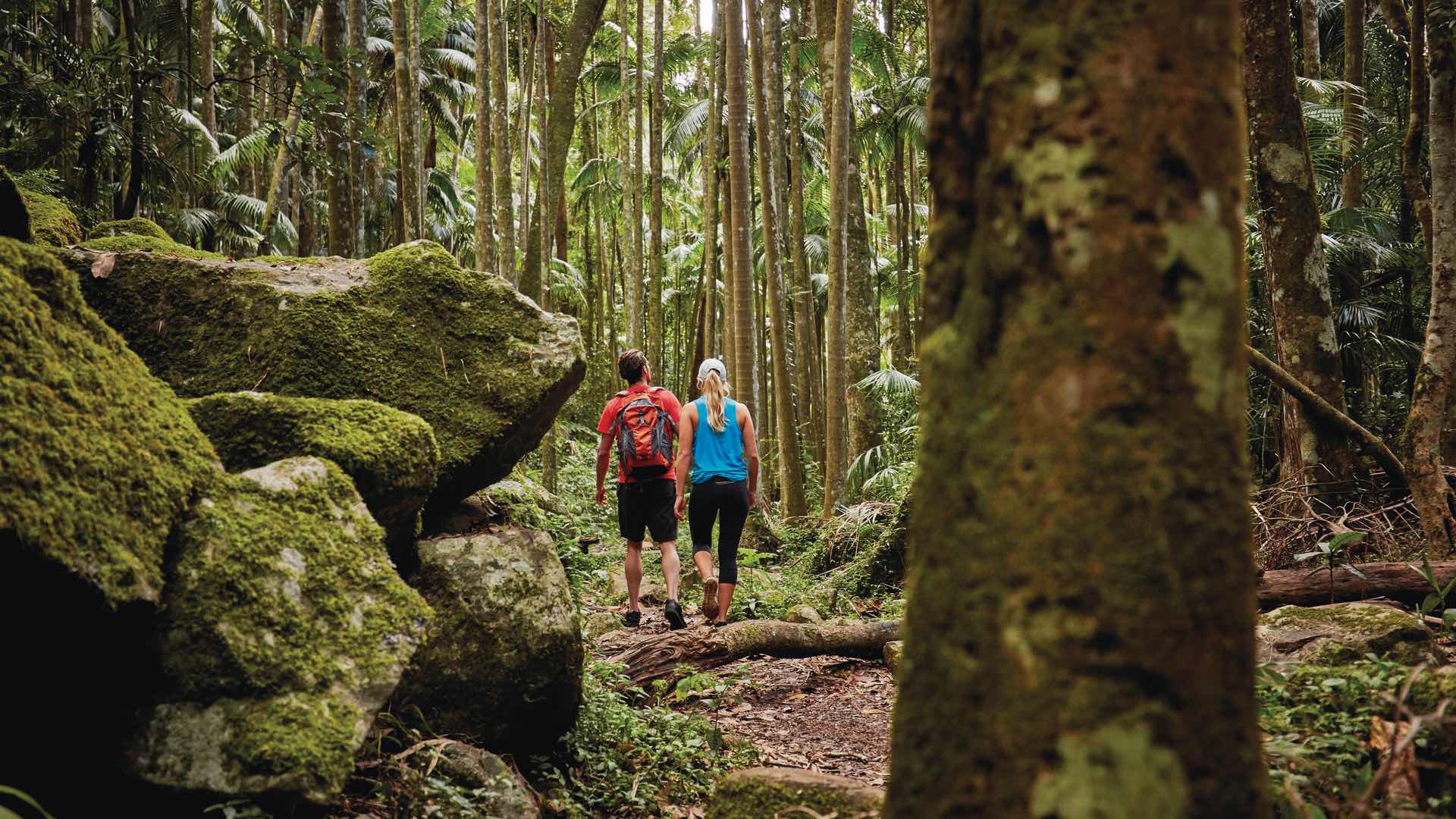 Five Epic Multi-Day Hikes to Conquer Near Brisbane