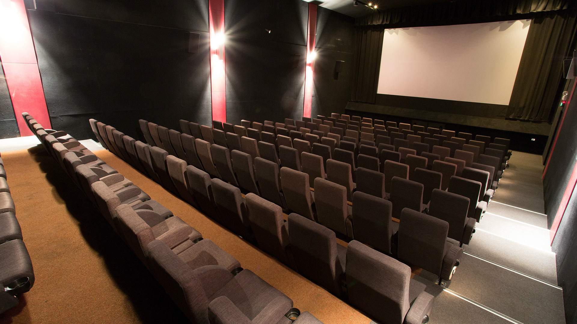 Australian Cinemas Bushfire Appeal - Concrete Playground