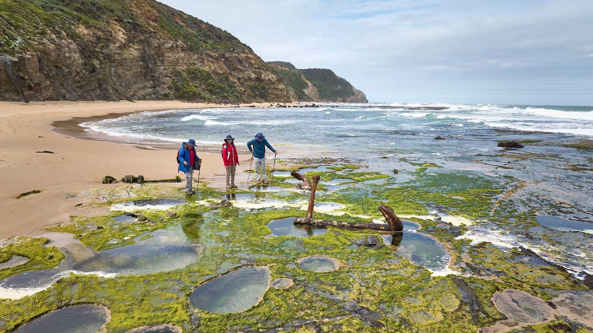 The Nine Best Coastal Walks Near Melbourne