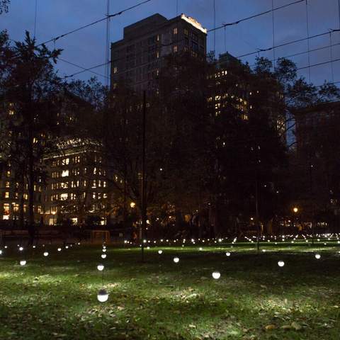 New York's Madison Square Park Has Been Turned Into a Glowing Field of Light