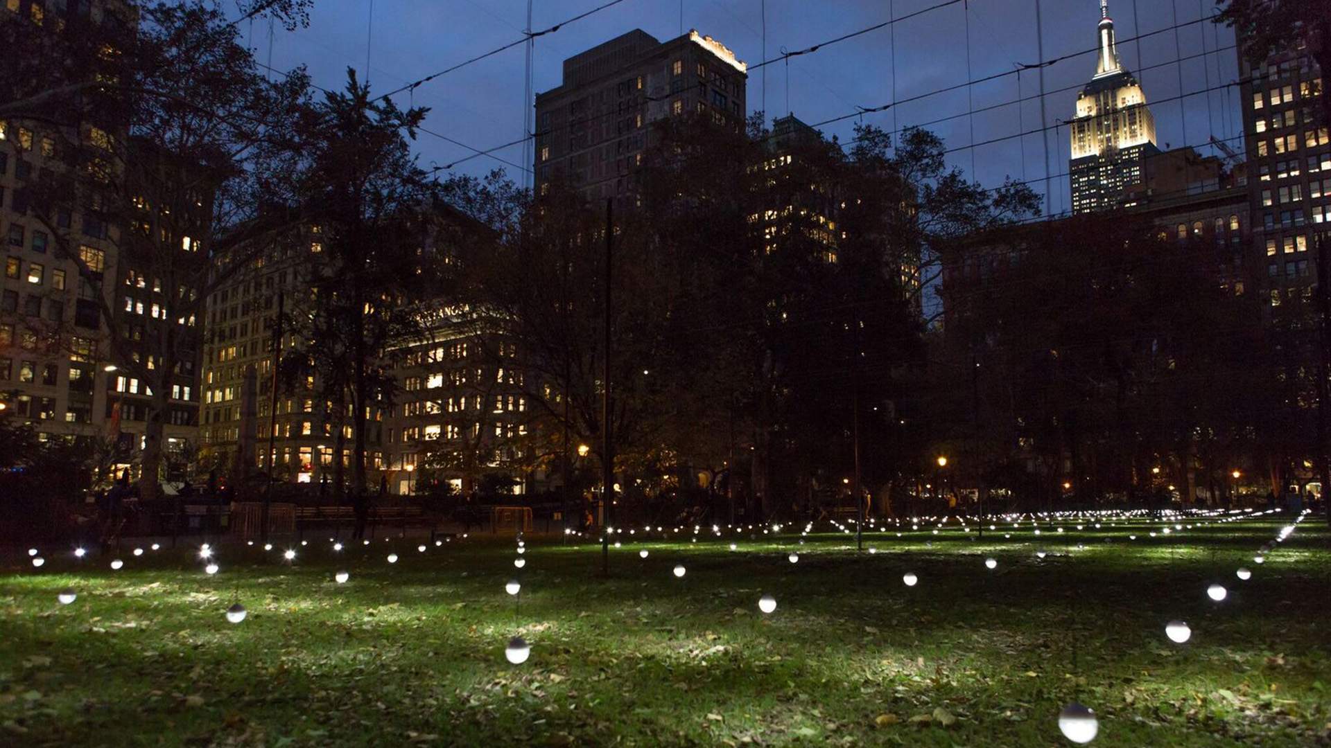 New York's Madison Square Park Has Been Turned Into a Glowing Field of Light